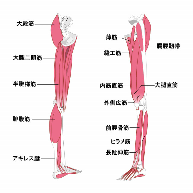 産後の膝痛 新潟の整体 医師も推薦 新潟名倉堂鍼灸整骨院