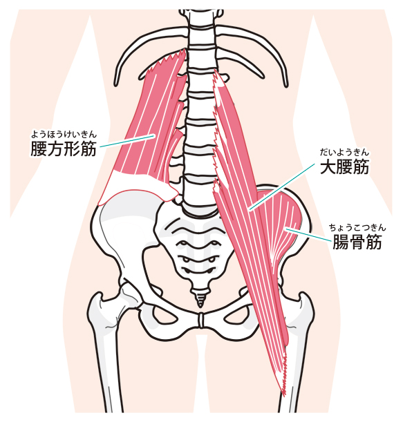 ぎっくり腰 新潟の整体 医師も推薦 新潟名倉堂鍼灸整骨院